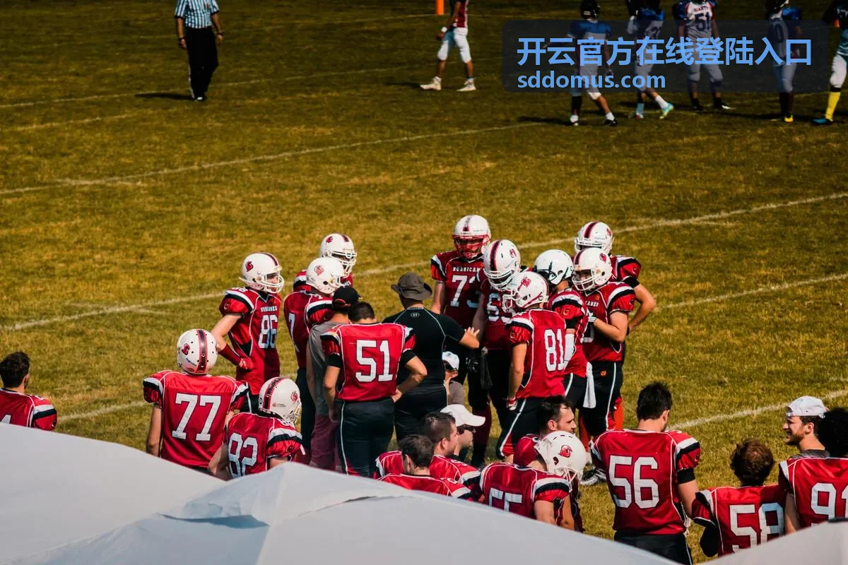 开云官方在线登陆入口首次登录前的准备步骤示意